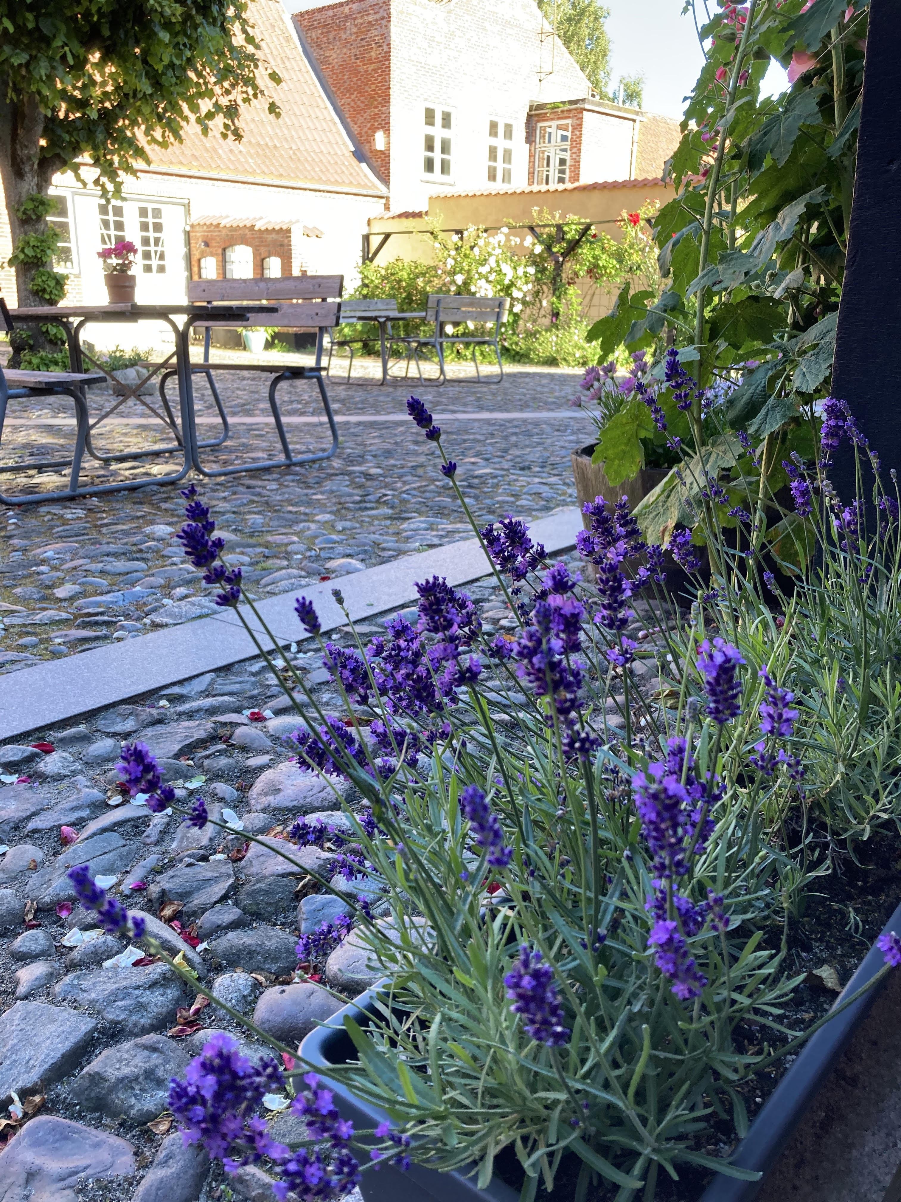 Billede af ejendom